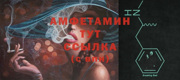 стаф Алзамай