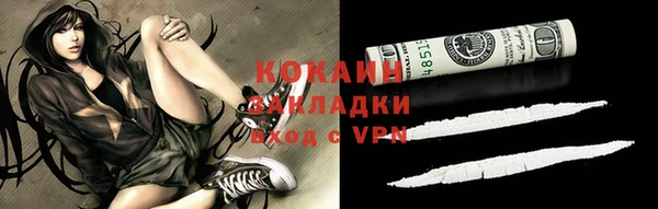 стаф Алзамай