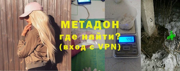 стаф Алзамай