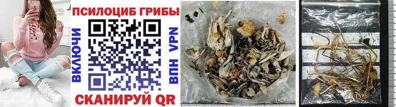 Галлюциногенные грибы Psilocybe Славск