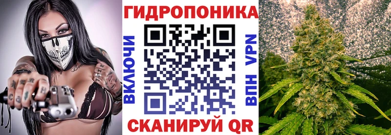 закладка  Славск  Шишки марихуана индика 